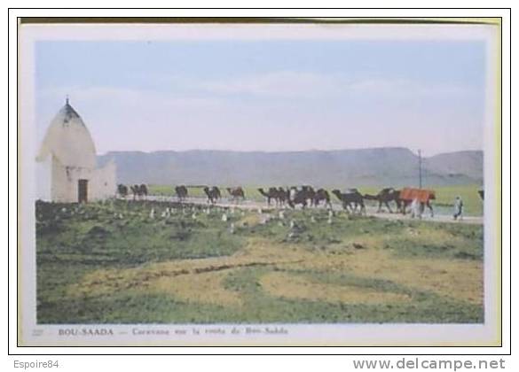 C. Postale  ALGERIE - BOU-SAADA - CARAVANE SUR LA ROUTE DE BOU-SAADA (Ed. PROUHO)