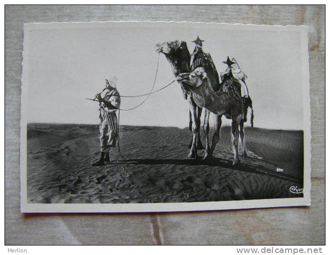 Algerie - Bou-Saada  L'Oasis du Bonheur - Musicien - chameau  camel  Photo Macon   D99874