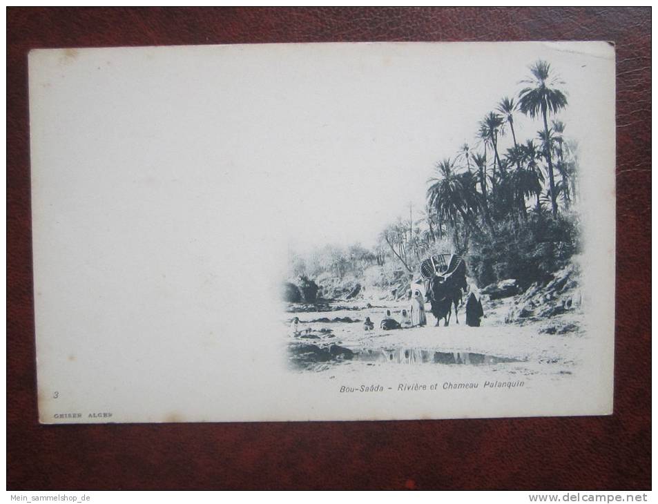 Bou Saada Riviere et Chameau Palanquin Algerien CPA AK