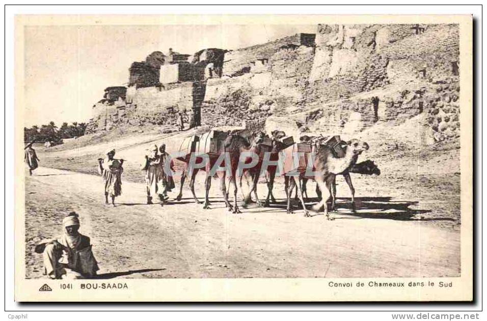 CPA Algerie BOU SAADA Convoi de chameaux dans le sud Camel Chame