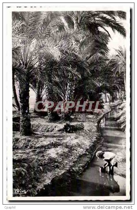 CPA Bou Saada Alger Dans I Oasis