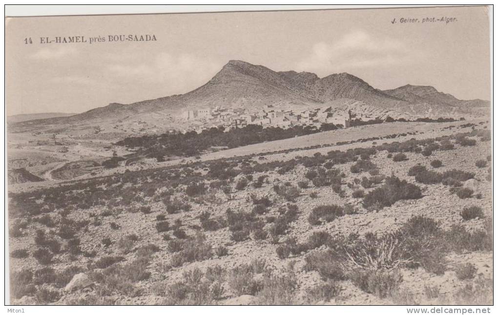 EL HAMAL PRES BOU SAADA