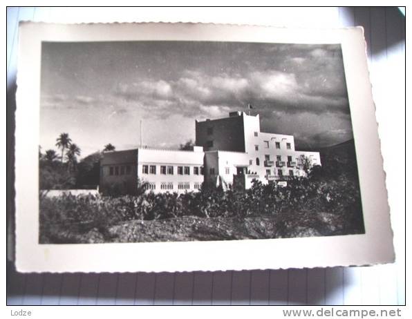 Afrika Africa Algérie Algerije Bou-Saada