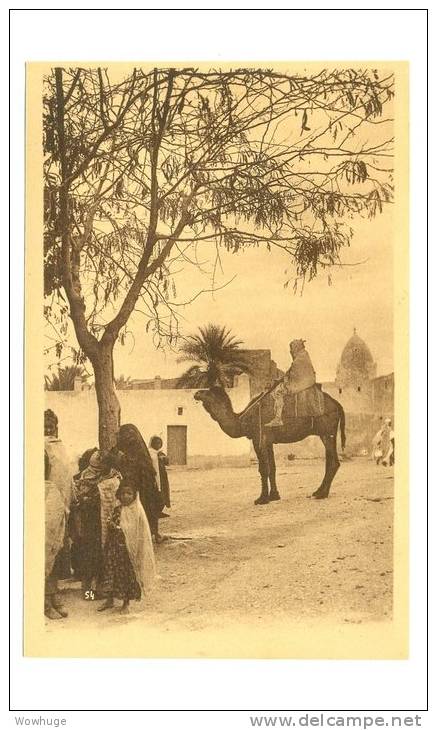 ALGERIA BOU SAADA 47848 POSTCARD ENTRÉE VILLAGE CAMEL PEOPLE TREE ARCHITECTURE