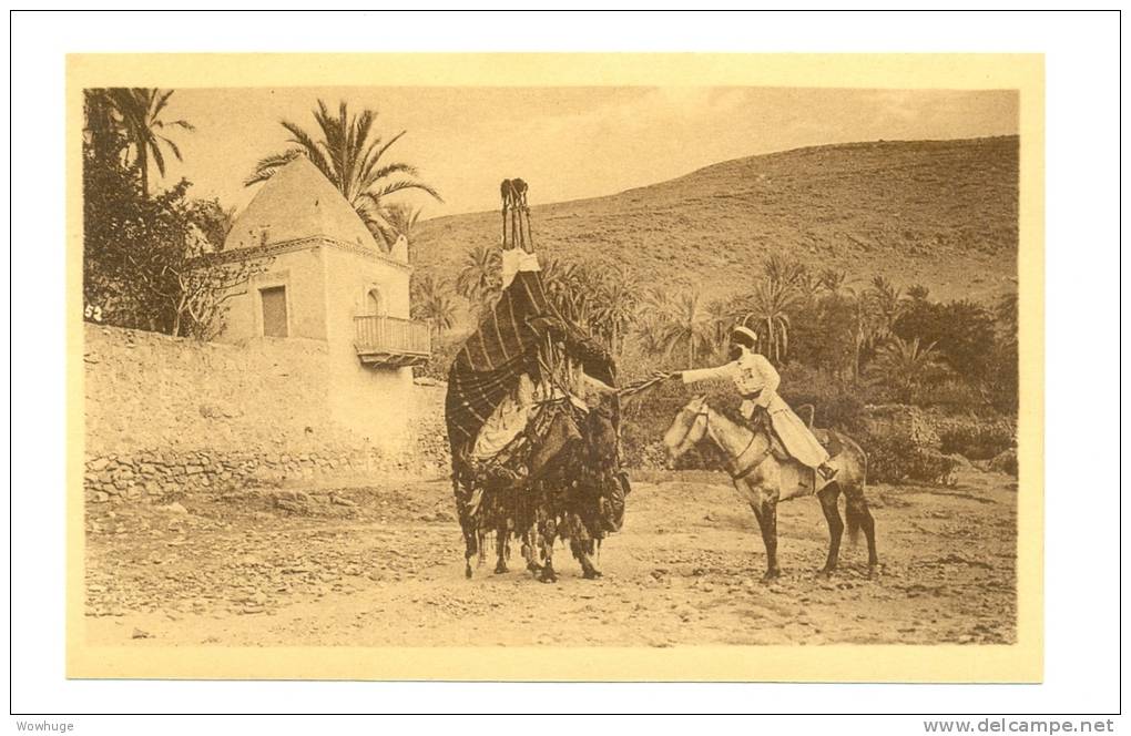 ALGERIA BOU SAADA 47835 POSTCARD GALANTERIES ARABES DANS L'OUED CAMEL HORSE