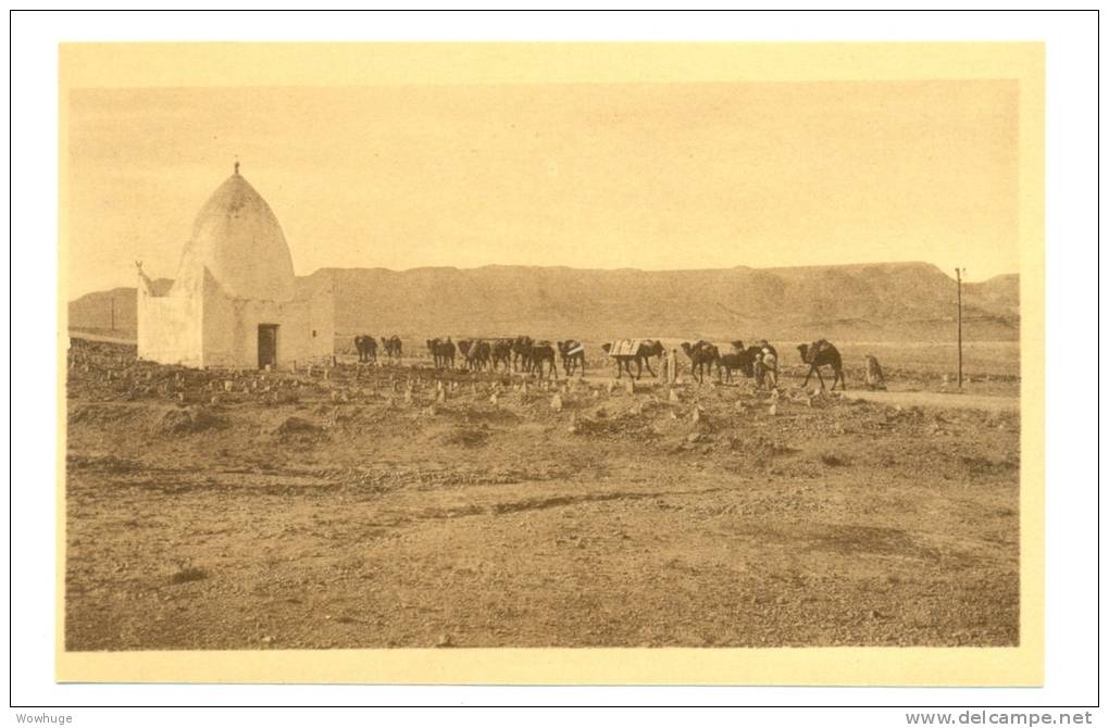 ALGERIA BOU SAADA 47849 POSTCARD CARAVANE QUITTANT CAMEL FLOCK HOTEL CAID