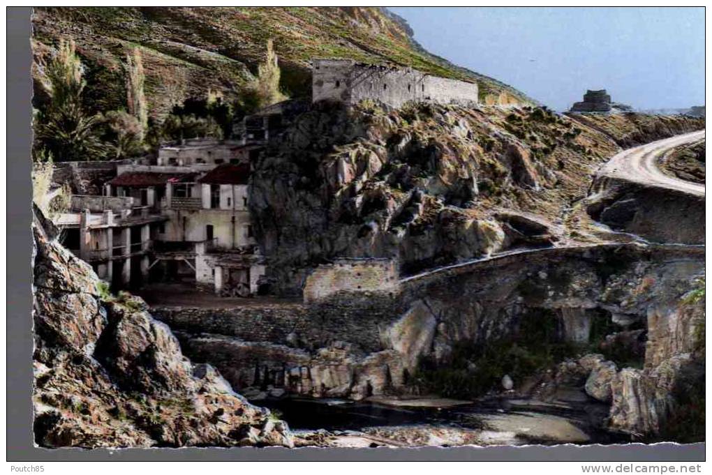 PORT GRATUIT     6760    BOU  SAADA