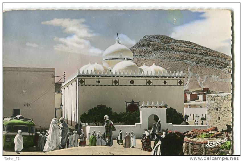 CPSM FORMAT CPA  -   BOU-SAADA  - 