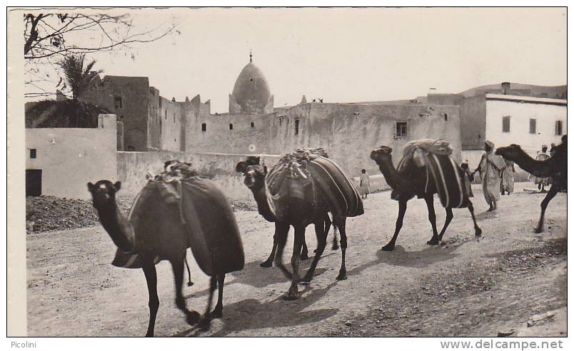 BOU SAADA      ///////   REF  132