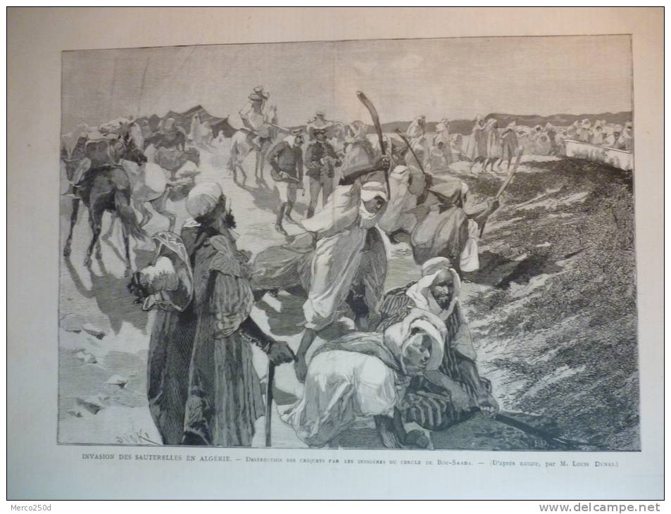 Algérie , les sauterelles ,  habitants de Bou Saada détruisant les criquets islamiste ,gravure Clément dessin Dunki 1888