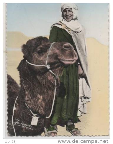 54  BOU SAADA  CHAMELIER