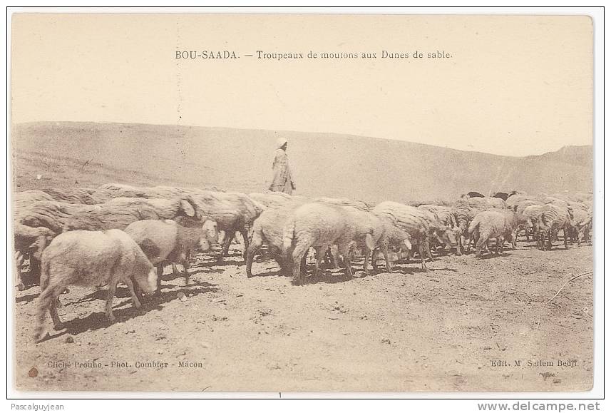 CPA BOU-SAADA - TROUPEAUX DE MOUTONS AUX DUNES DE SABLE