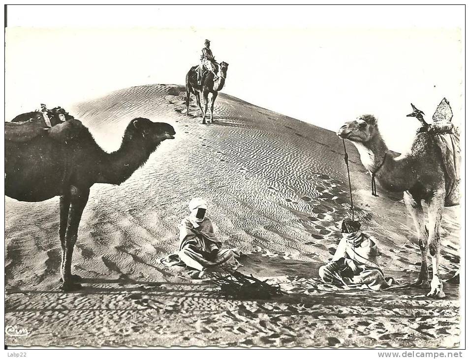 BOU SAADA ALGERIE CITE DU BONHEUR LA HALTE DU DESERT