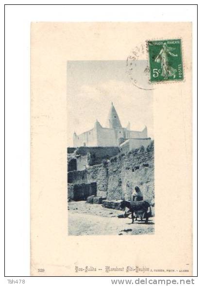 CPA NB Algérie  539. Bou saada marabout sidi brahim