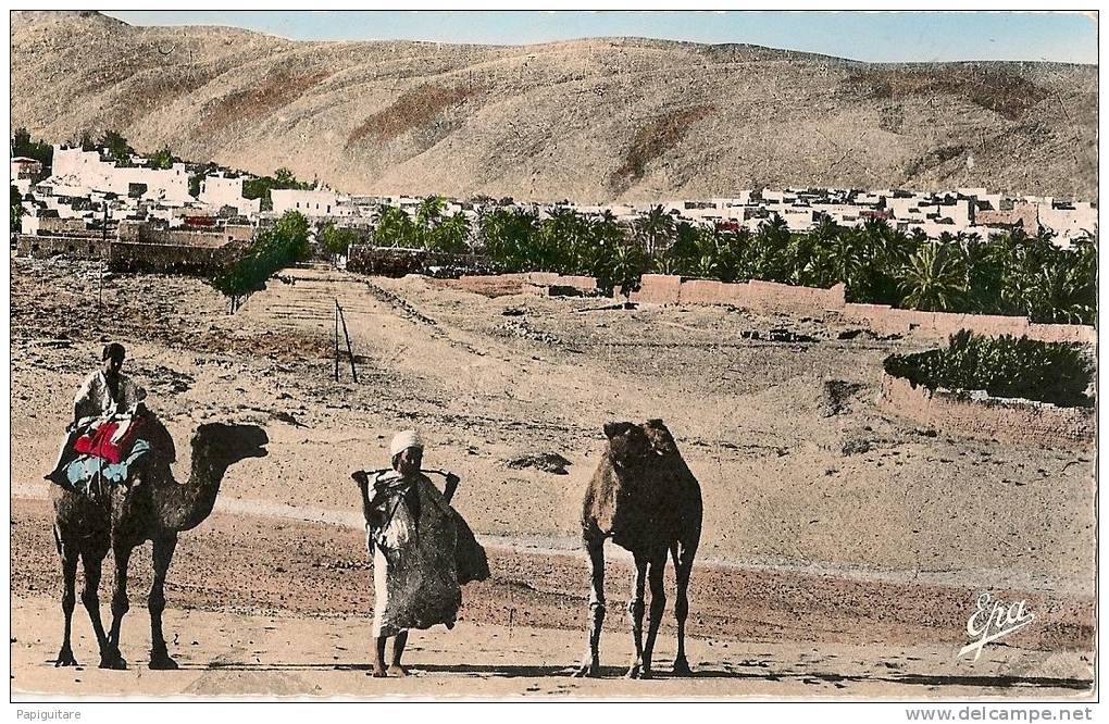 cpsm bon etat  ,   bou-saada , entée de la ville , carte rare , courrier au verso ,   tres propre