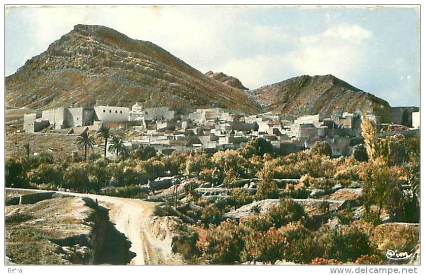 CPSM  Format    CPA    Bou Saada   el Hamel   vue générale                    G-415