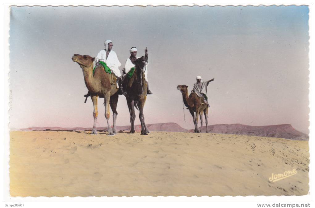 Prix fixe - Bou Saada - Chameliers dans le désert # 12-10/4