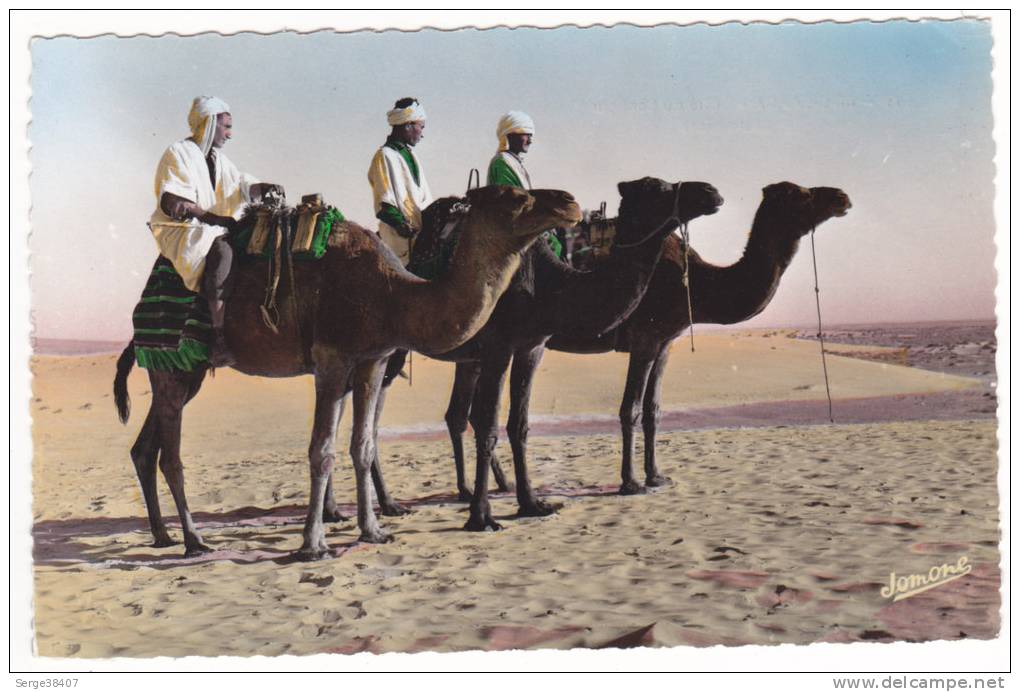 Prix fixe - Bou Saada - Chameliers # 12-10/4