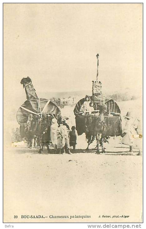 CPA             Bou Saada  chameaux palanquins         animée        D-643