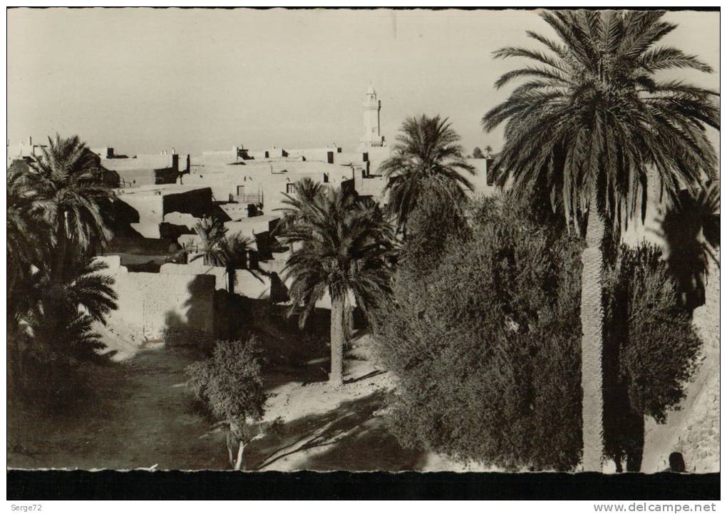 cpsm La Cité du Bonheur   BOU.SAADA (Sud Algérien) Un coin de la Palmeraie et le Minaret