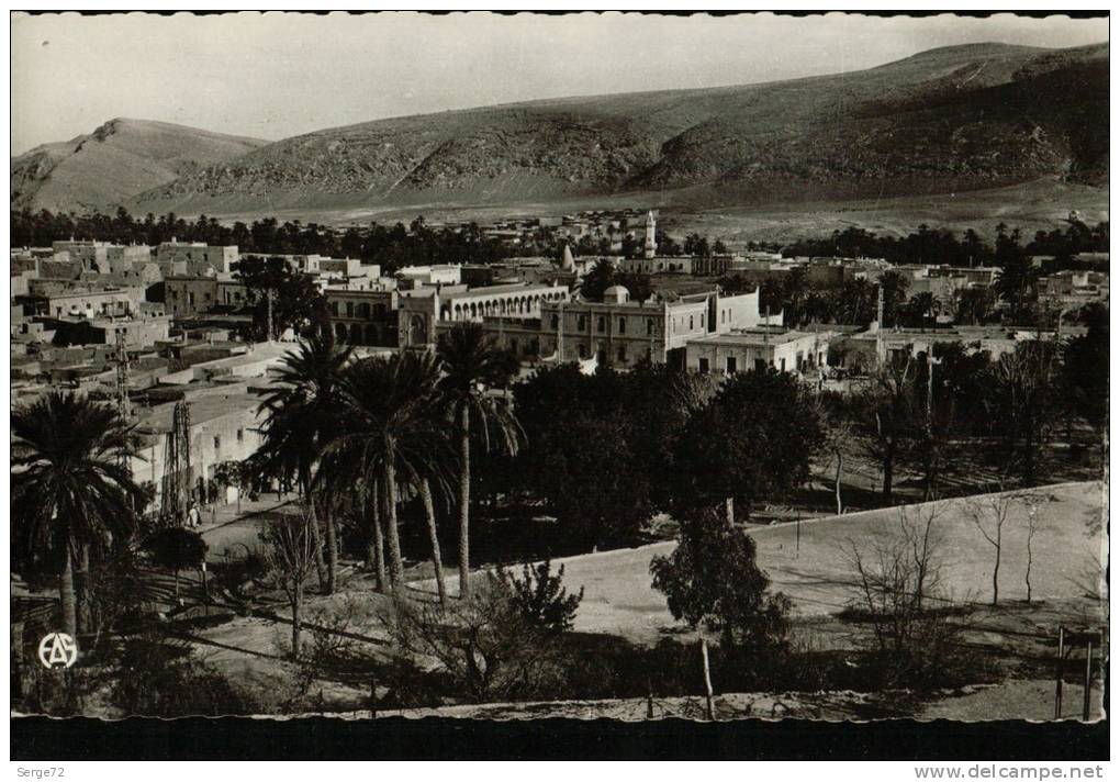 cpsm 1  BOU.SAADA (Cité du Bonheur) Vue Générale