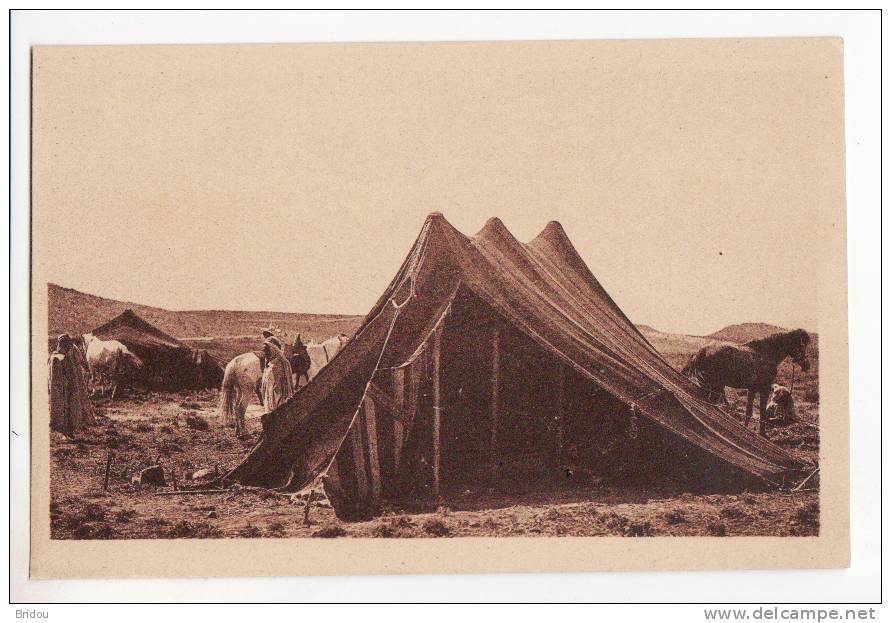 Algérie  BOU SAADA   Un campement dans le Hodna      éditions Prouho n°167