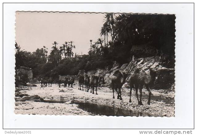 sept12   57116   bou saada   caravane dans l'oued