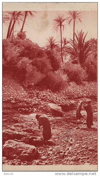 BOU-SAADA  -  La Rivière