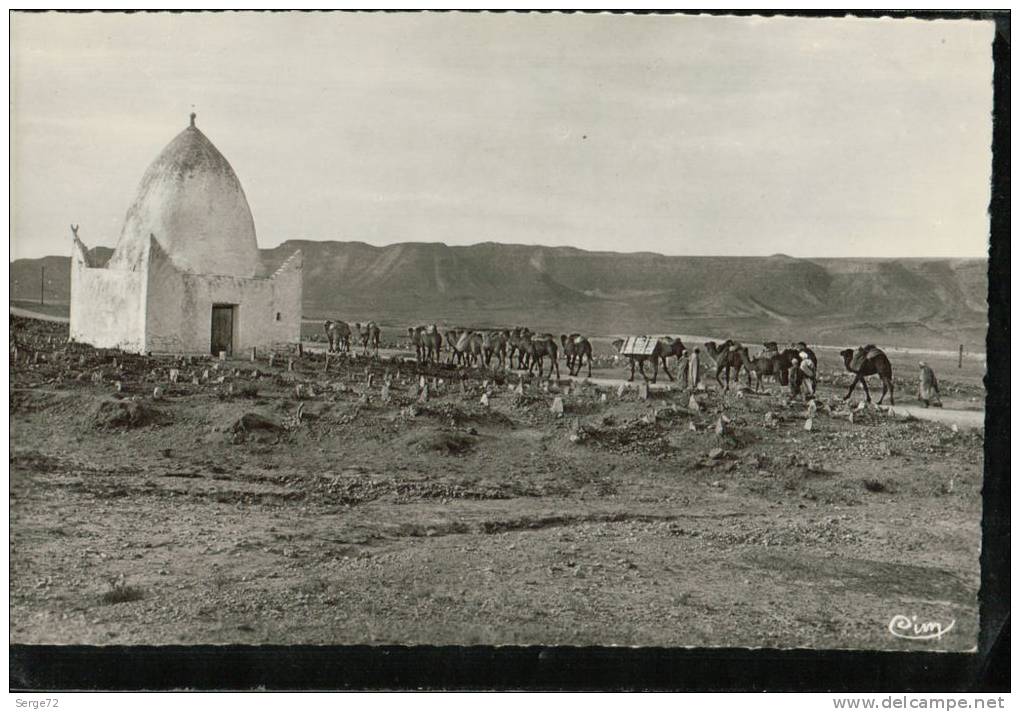 cpsm   BOU.SAADA (Algérie)  Cité du Bonheur  Caravane quittant Bou.Saada