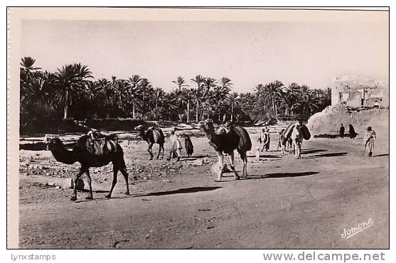 Bou-Saada - L' Arrivee d' une Caravane good shape