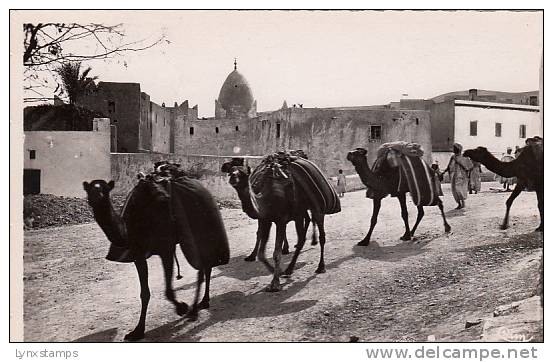 Bou-Saada - une caravane traversant un village du Sud good shape