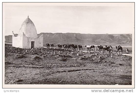 Bou-Saada - Caravane quittant Bou-Saada good shape