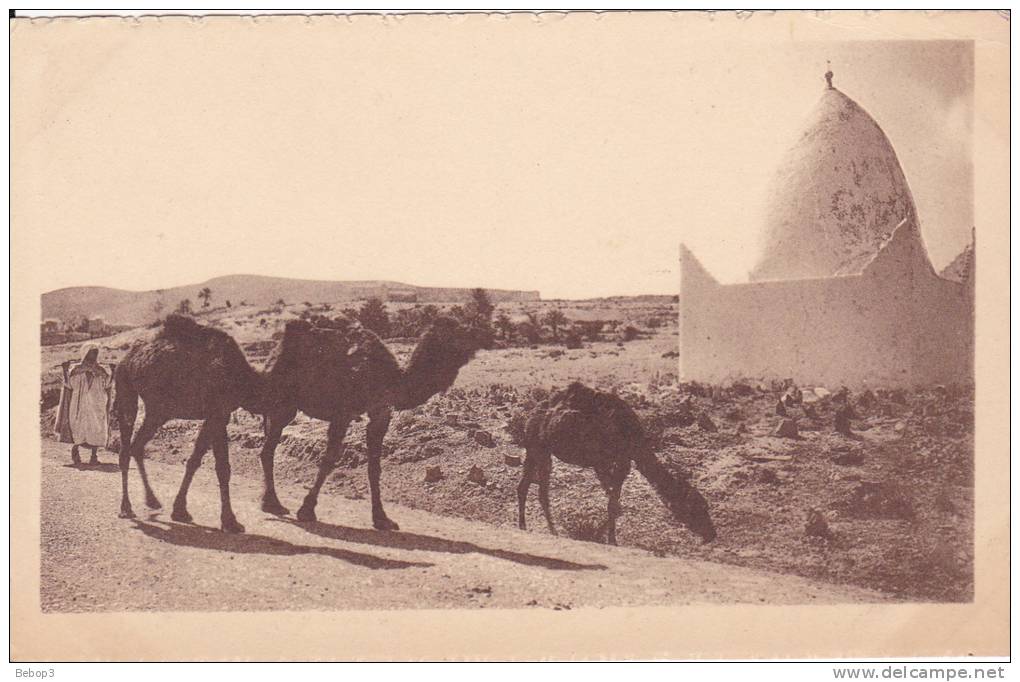 Algérie Bou Saada - Sur la route de Bou Saada