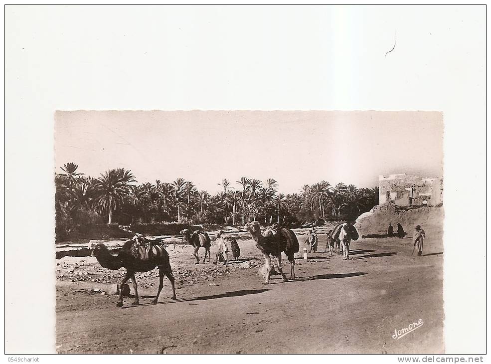 bou saada l'arrivee d'une caravane