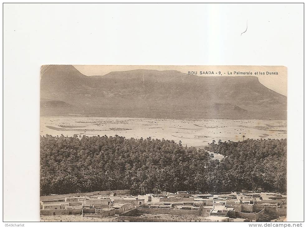 bou saada la palmeraie