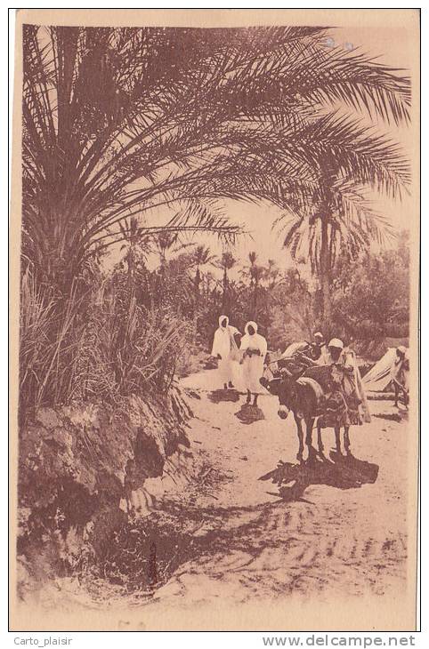 BOU SAADA.....CHEMIN DANS L OASIS.................... ...........ANE.  .ANE   DESSUS