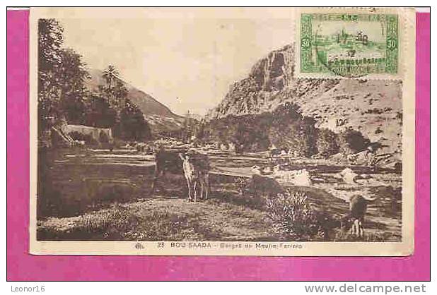 BOU SAADA   -   * LES GORGES DU MOULIN FERRERO *   -    Editeur   C.A.P. de Strasbourg   N°23