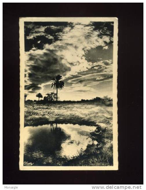 CPSM CARTE PHOTO ALGERIE BOU SAADA COUCHER DE SOLEIL