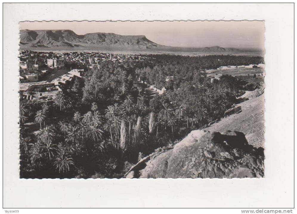 Algérie Bou Saada cité du bonheur vue générale N° 6 belle carte dentelée