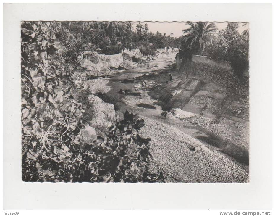 Algérie Bou Saada cité du bonheur l' Oued belle carte dentelée