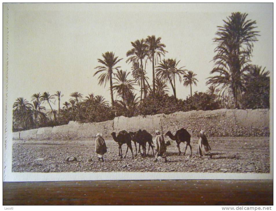 ALGERIE - BOU-SAADA - caravane dans l'oued - CPA n°34