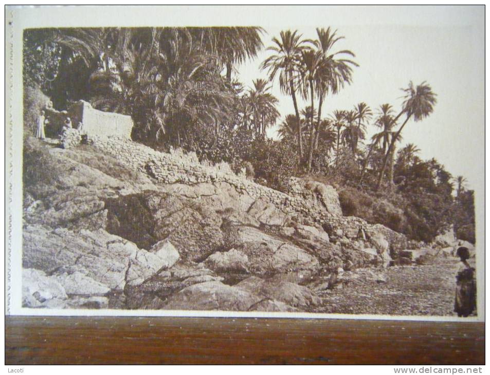 ALGERIE - BOU-SAADA - dans l'oued - CPA n°27