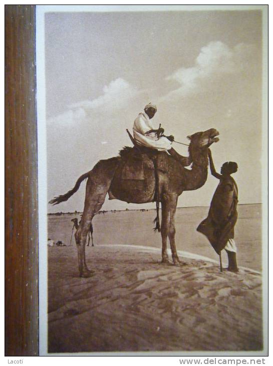 ALGERIE - BOU-SAADA - dans les sables du sud