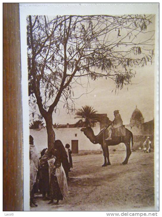 ALGERIE - BOU-SAADA - entrée du village