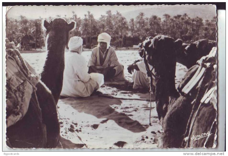 Bou Saada - Chameliers