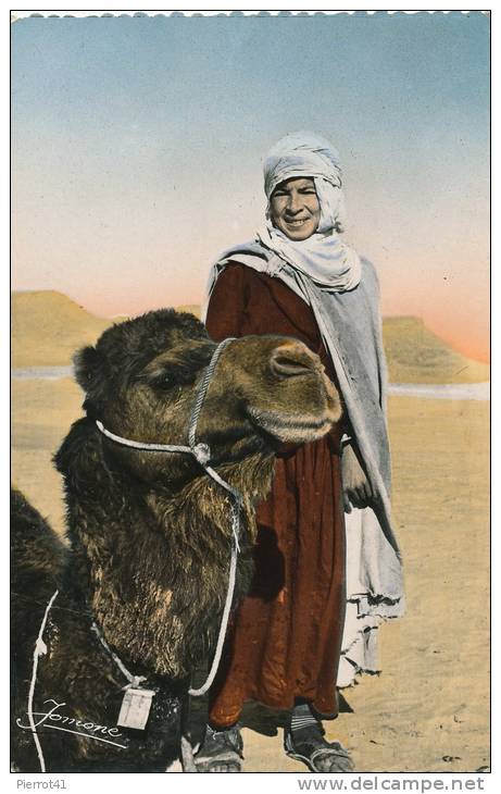 AFRIQUE - ALGERIE - BOU SAADA - Chamelier