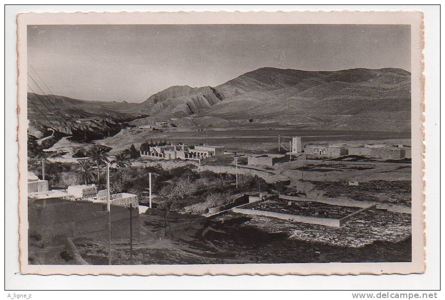 Ref 76 -  CPSM Algérie El Hamel près Bou Saada L'Ecole