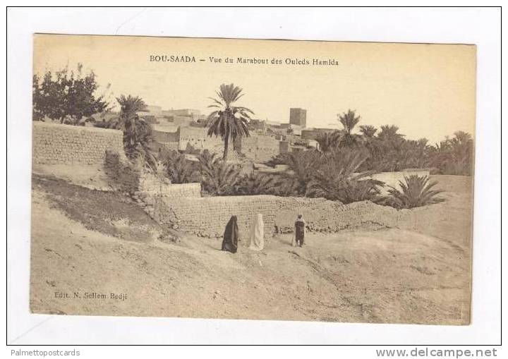 Vue du Marabout des Ouleds Hamida, Bou-Saada, Algiers, Algeria, Africa, 00-10s