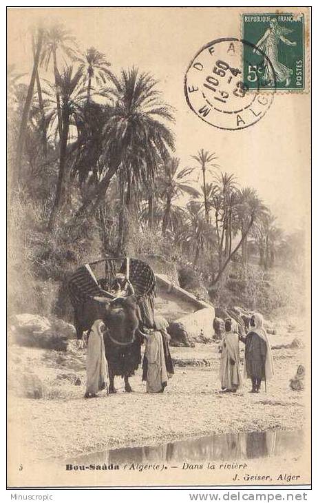 CPA Algérie - Bou Saada - Dans la rivière
