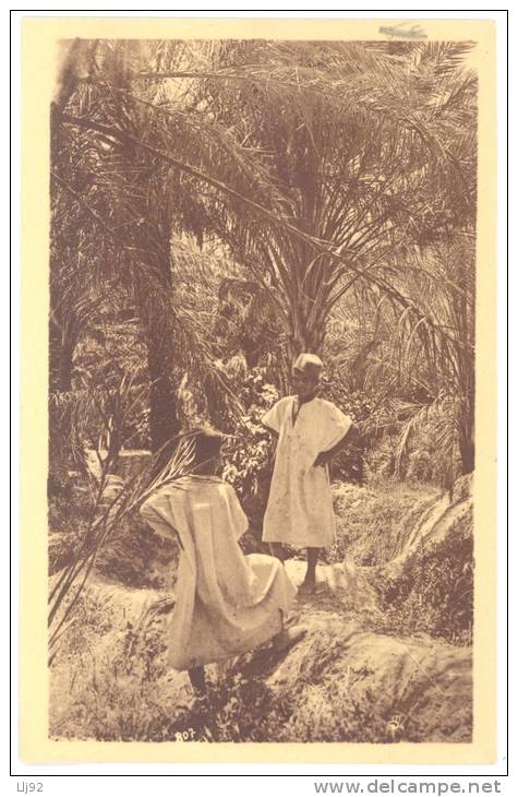 CPA ALGERIE - 807. BOU-SAADA - Dans les jardins de l'oasis